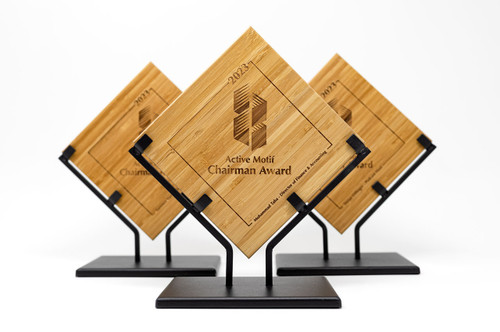 Awards and Recognition Plaques with Iron Base - Professional Awards and Trophies.