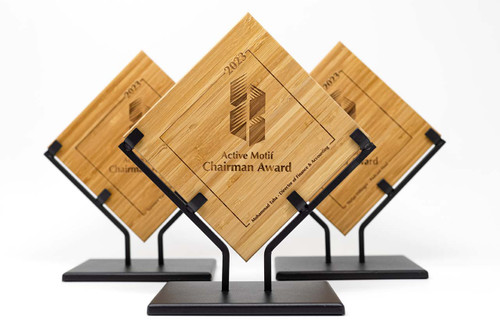 Custom Wooden Awards for Corporate Recognition and Award Plaques